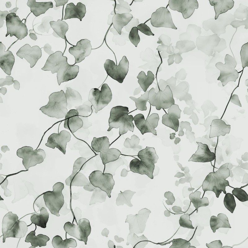 Image de Coloration Emile Green - 1051701-02 - 06805-01